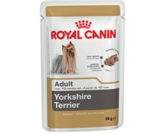 Royal canin Nassfutter für Yorkshire