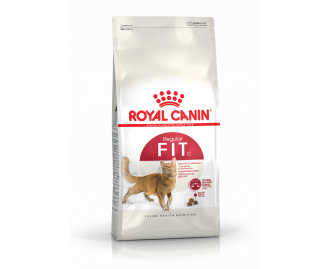 Royal Canin Fit 32 Trockenfutter für Katzen