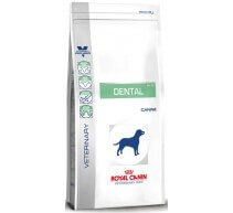 Royal Canin Dental 6 kg Diät für Hunde