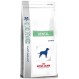 Royal Canin Dental 6 kg Diät für Hunde