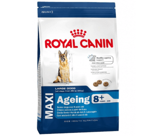 Royal Canin Maxi Ageing 8+ für Hunde älter als 8 Jahre