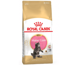 Royal canin Maine coon Trockenfutter für Kätzchen