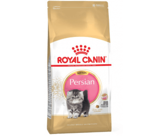 Royal canin Persian Trockenfutter für persische Kätzchen