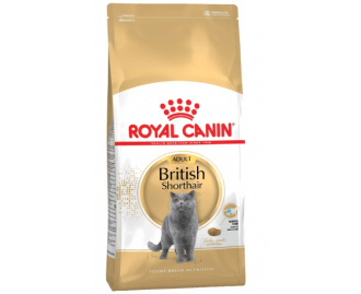 Royal canin british shorthair Trockenfutter für Katzen