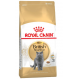 Royal canin british shorthair Trockenfutter für Katzen