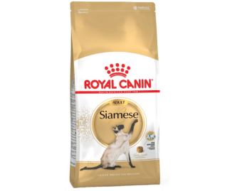 Royal canin siamese Trockenfutter für siamesische Katzen