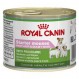 Royal Canin medium starter mother&babydog Trockenfutter für Hunde mittel grosser Rassen
