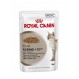 Pack 12 sobres Royal canin comida humeda gato
