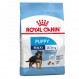 Royal Canin Maxi Junior Kroketten für Hunde