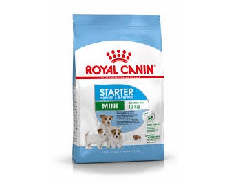 Royal Canin mini starter mother&babydog Trockenfutter für Hunde kleiner Rassen