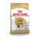 Royal Canin Trockenfutter für Beagle adult