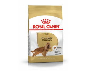 Royal canin Cocker Trockenfutter für Cocker