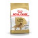 Royal canin Golden retriever Trockenfutter für Golden retriever
