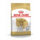 Royal canin Trockenfutter für Jack russell adult