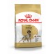 Royal canin Setter Trockenfutter für Setter