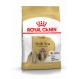 Royal canin Shih tzu Trockenfutter für Shih tzu