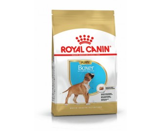 Royal canin Boxer junior Trockenfutter für junge Boxer