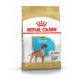 Royal canin Boxer junior Trockenfutter für junge Boxer