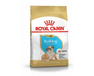 Royal canin Bulldog junior Trockenfutter für junge Bulldoggen