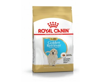Royal canin Golden retriever junior Trockenfutter für junge Golden retriever