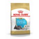 Royal canin Schnauzer junior Trockenfutter für junge Schnauzer