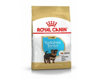 Royal canin Yorkshire junior Trockenfutter für junge Yorkshire