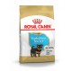 Royal canin Yorkshire junior Trockenfutter für junge Yorkshire
