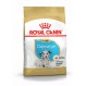 Royal canin Dalmata junior 12 kg. Trockenfutter für junge Dalmatiner