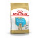 Royal canin Labrador junior Trockenfutter für junge Labradore