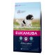 Eukanuba Adult Maintenance Trockenfutter für Hunde mittelgrosse Rassen
