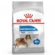 Royal Canin maxi light Trockenfutter für Hunde grosser Rassen