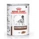 Royal Canin gastrointestinal Diät für Hunde (Dosen)