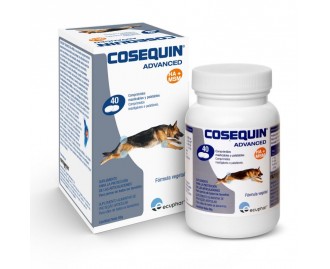 Cosequin Taste HA Chondroprotektiv für Hunde