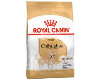 Royal Canin Chihuahua adulto 