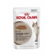 Royal Canin Ageing +12 Nassfutter für ältere Katzen