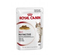 Royal Canin Nassfutter in Gelatine für erwachsene Katzen
