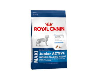 Royal Canin maxi junior active Trockenfutter für Hunde grosser Rassen