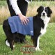Hundehandtuch extra trocken TRIXIE 50x60 cm, blau